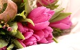 pink-flowers - photo5