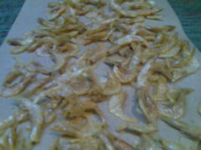 dried shrimps 240x180