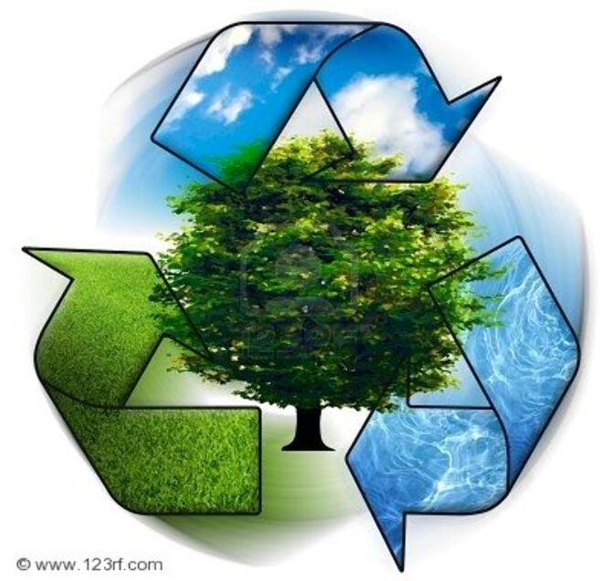 India Green Revolution Farming