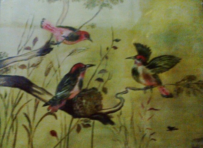 Code Magon11  Three birds