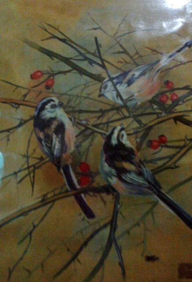 Code Magon21  Birds and cherry