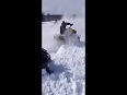 Freestyle Snow Scooter Fails