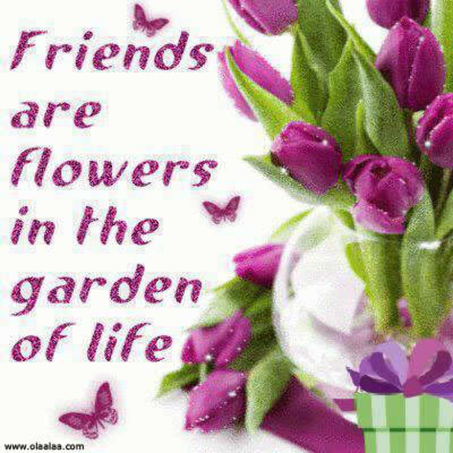 nice friendship quotes thoughts flower garden life jpg : sarga - photo ...