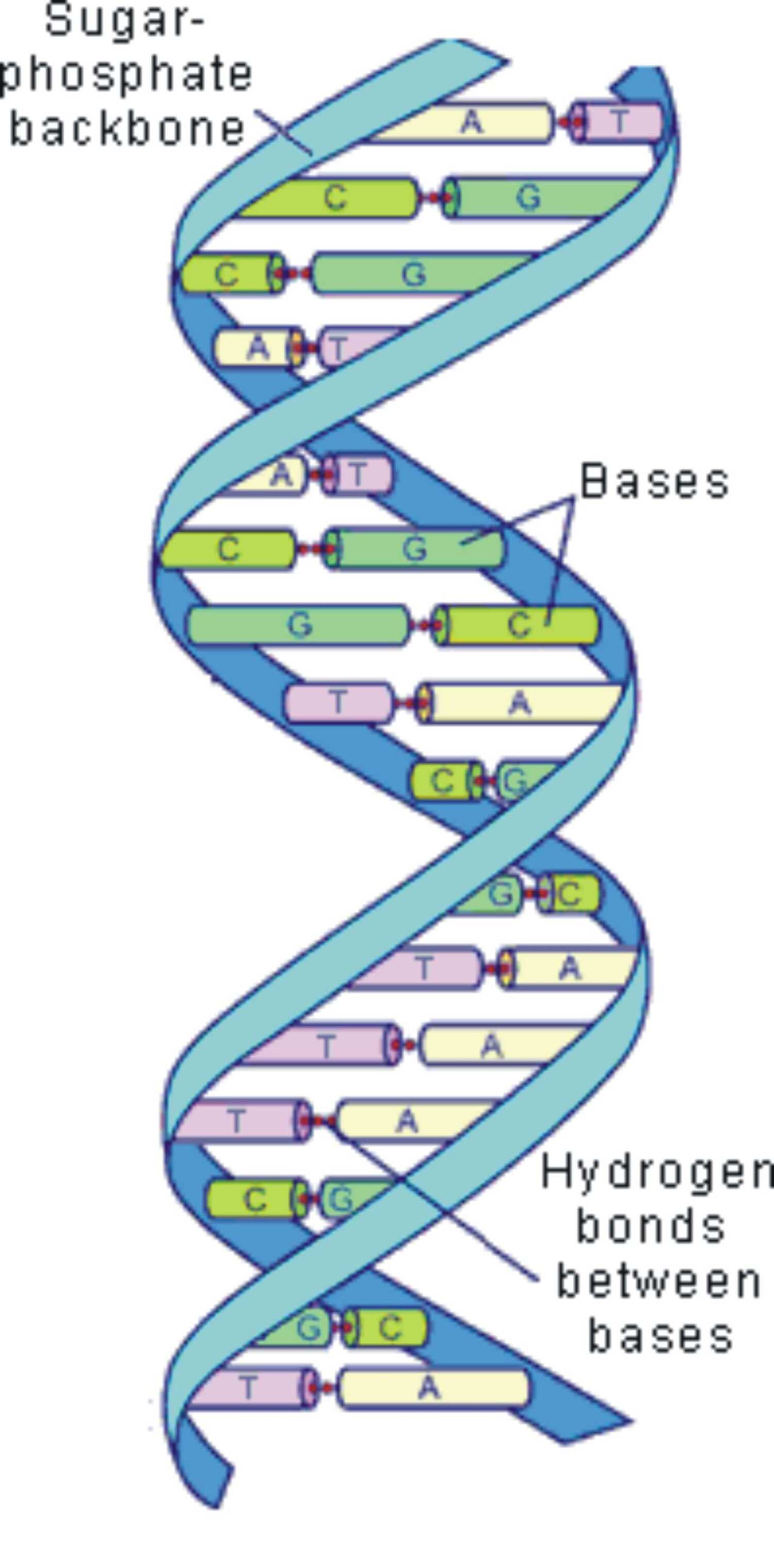 DNA.jpg : science on Rediff Pages